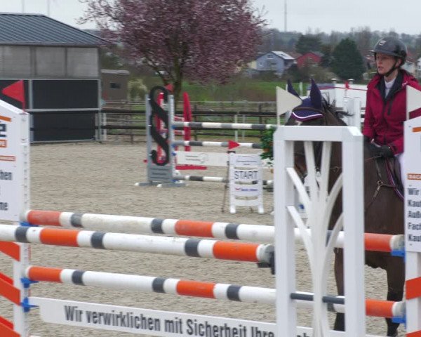 Reitturnier Worms-Pfeddersheim / Reitsportanlage Wittemer 2023