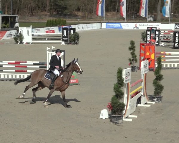Reitturnier Westergellersen 2023