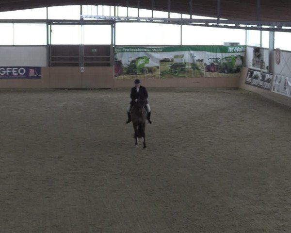 Reitturnier Borgholzhausen-Westbarthausen 2023