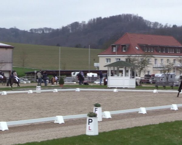 Reitturnier Balve-Wocklum 2023