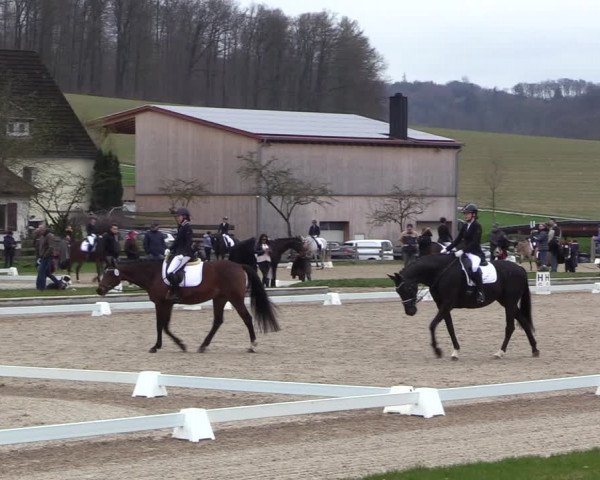 Reitturnier Balve-Wocklum 2023