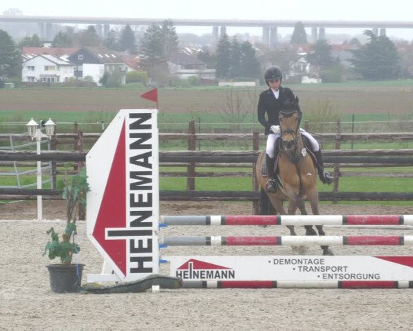 Reitturnier Worms-Pfeddersheim / Reitsportanlage Wittemer 2023
