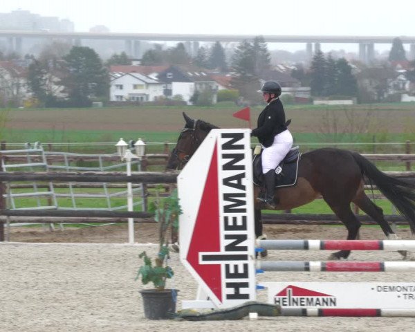 Reitturnier Worms-Pfeddersheim / Reitsportanlage Wittemer 2023
