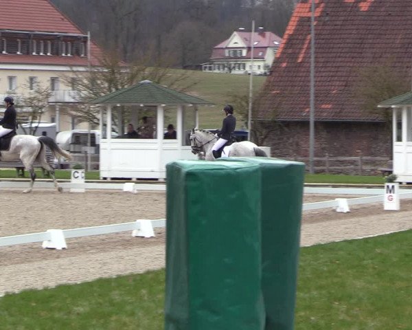 Reitturnier Balve-Wocklum 2023