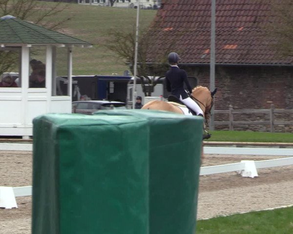 Reitturnier Balve-Wocklum 2023