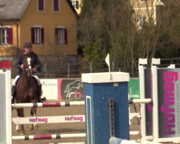 Reitturnier Gniebing-Feldbach 2023