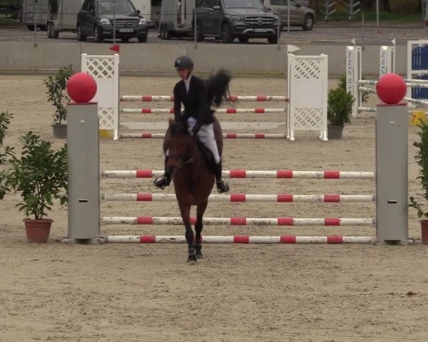 Reitturnier Balve-Wocklum 2023