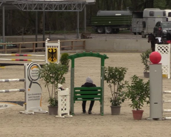 Reitturnier Balve-Wocklum 2023