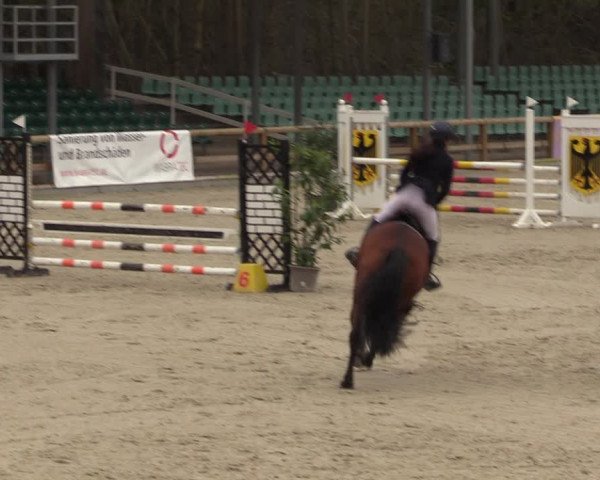 Reitturnier Balve-Wocklum 2023
