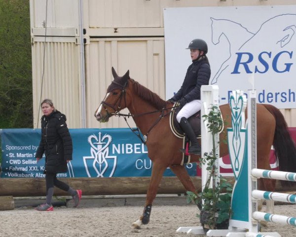 Reitturnier Worms-Pfeddersheim / Reitsportanlage Wittemer 2023