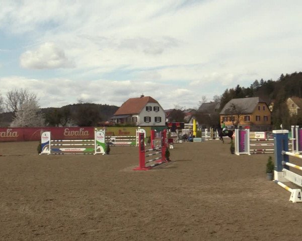 Reitturnier Gniebing-Feldbach 2023