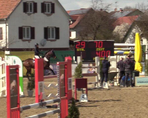 Reitturnier Gniebing-Feldbach 2023