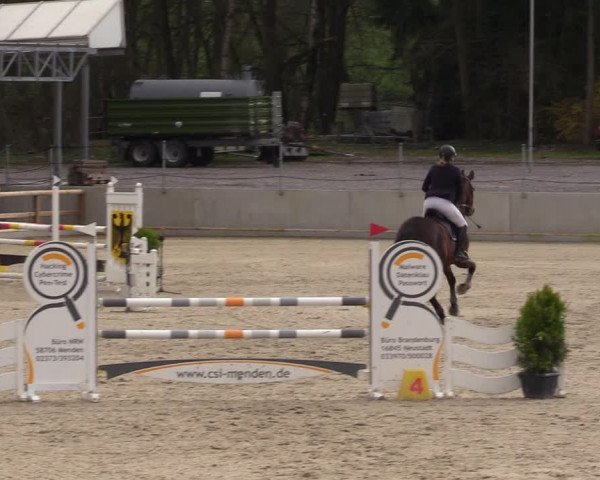 Reitturnier Balve-Wocklum 2023