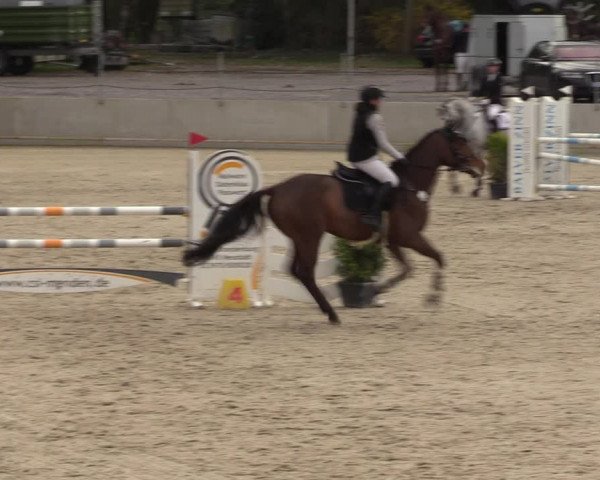 Reitturnier Balve-Wocklum 2023