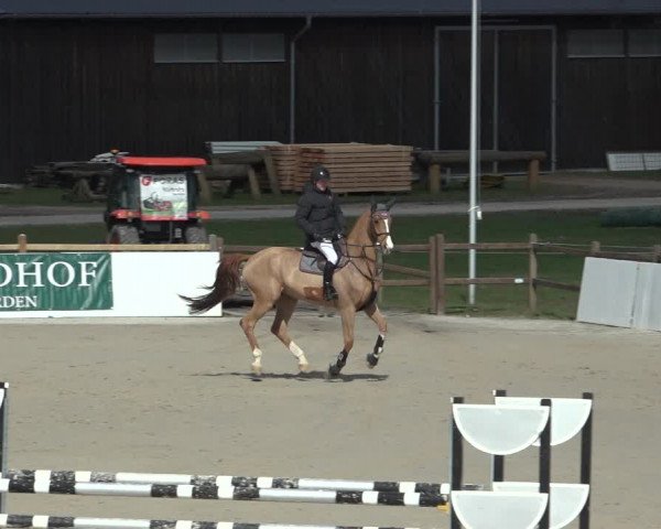 Reitturnier Westergellersen 2023