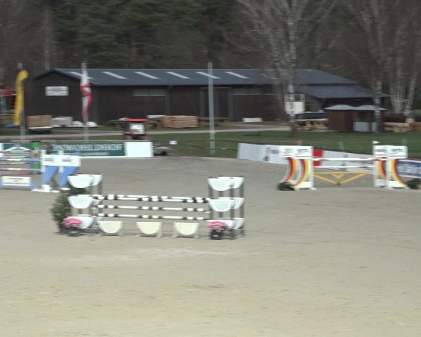 Reitturnier Westergellersen 2023
