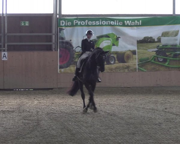 Reitturnier Borgholzhausen-Westbarthausen 2023