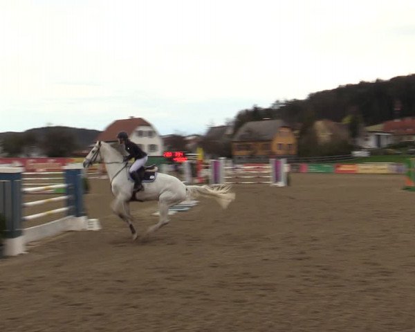 Reitturnier Gniebing-Feldbach 2023