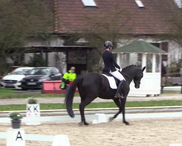Reitturnier Balve-Wocklum 2023
