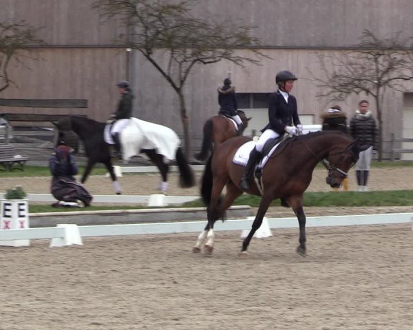 Reitturnier Balve-Wocklum 2023