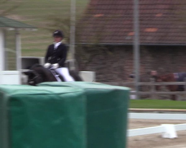 Reitturnier Balve-Wocklum 2023