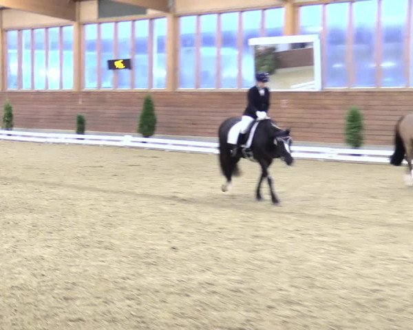 Reitturnier Coesfeld/Lette 2021