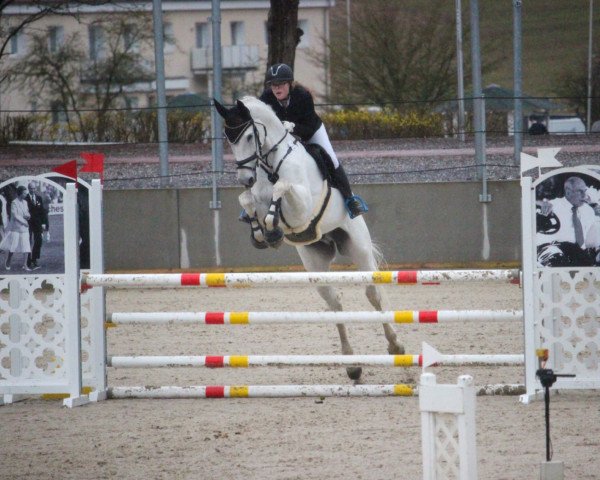 jumper Caribic 17 (Westphalian, 2008, from Colbert GTI)