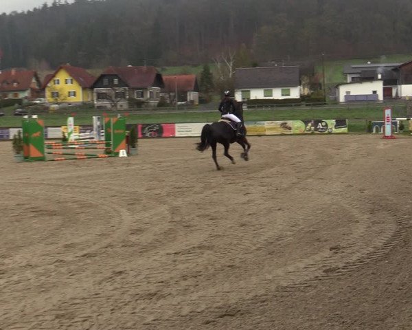 Reitturnier Gniebing-Feldbach 2023