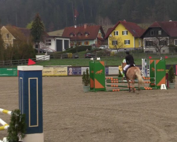 Reitturnier Gniebing-Feldbach 2023