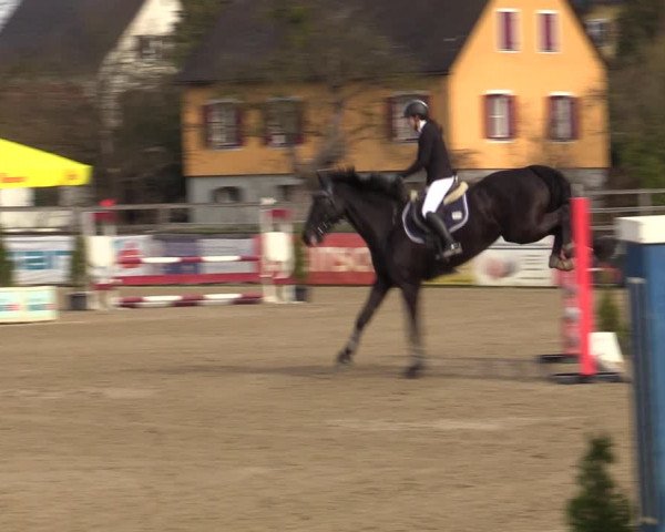 Reitturnier Gniebing-Feldbach 2023