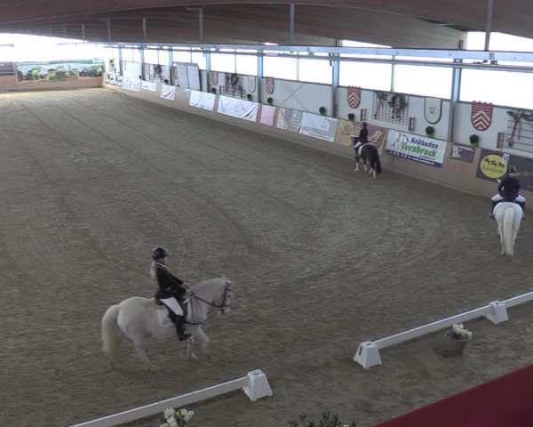 Reitturnier Borgholzhausen-Westbarthausen 2023