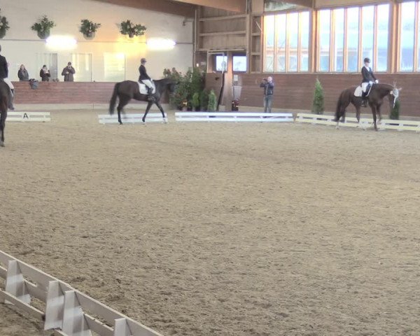 Reitturnier Coesfeld/Lette 2021