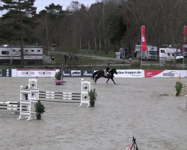 Reitturnier Westergellersen 2023