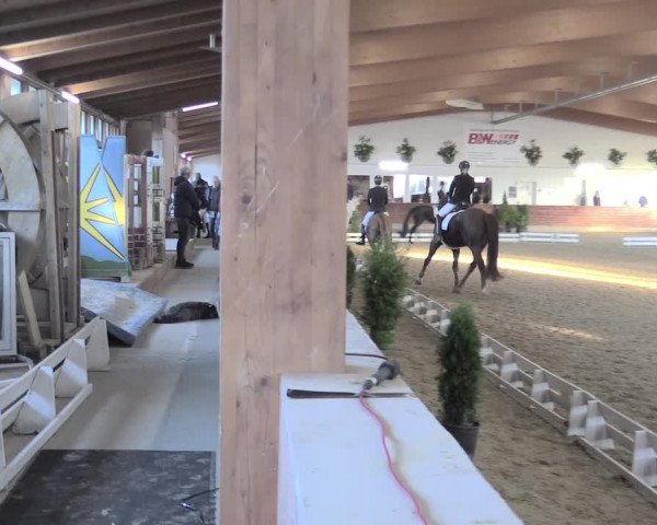 Reitturnier Coesfeld/Lette 2021