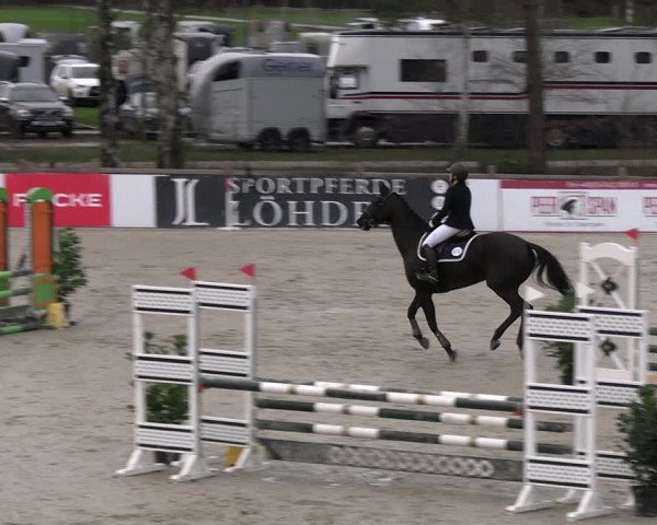 Reitturnier Westergellersen 2023