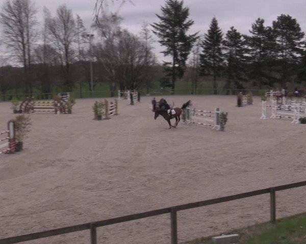 Reitturnier Erkrath - Uhlenhof 2023