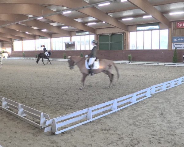 Reitturnier Coesfeld/Lette 2021