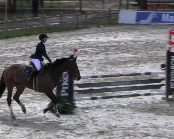 Reitturnier Westergellersen 2023