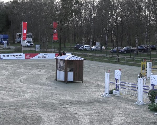 Reitturnier Westergellersen 2023