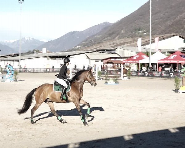 Reitturnier Giubiasco 2023