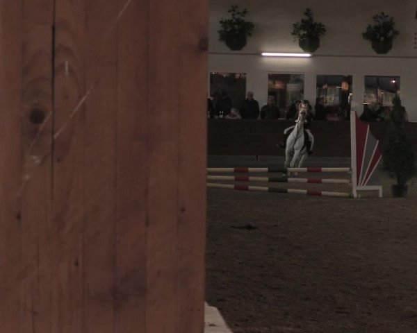 Reitturnier Coesfeld/Lette 2021