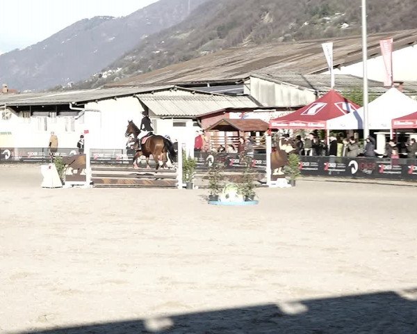 Reitturnier Giubiasco 2023