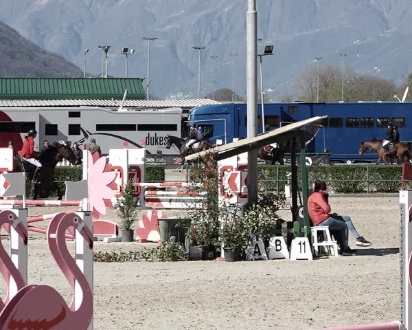 Reitturnier Giubiasco 2023