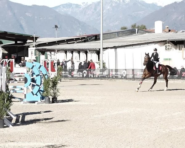 Reitturnier Giubiasco 2023