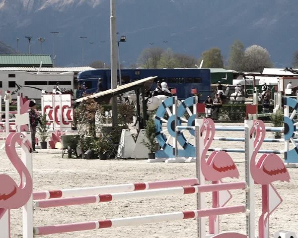 Reitturnier Giubiasco 2023