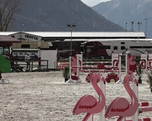 Reitturnier Giubiasco 2023