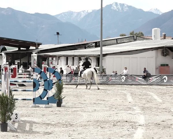 Reitturnier Giubiasco 2023