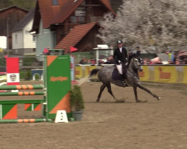Reitturnier Gniebing-Feldbach 2023