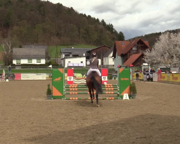 Reitturnier Gniebing-Feldbach 2023