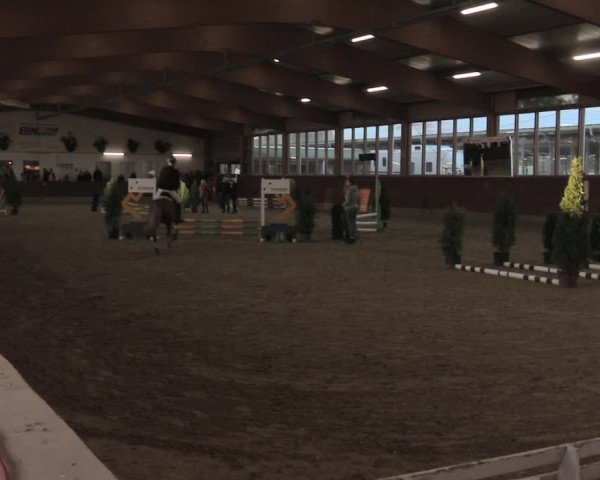 Reitturnier Coesfeld/Lette 2021
